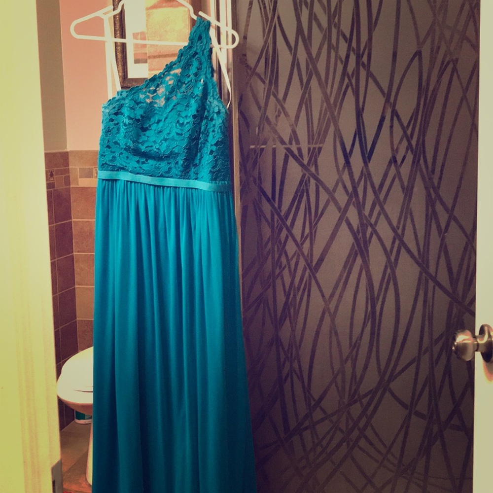 David’s Bridal Dress in OASIS!
